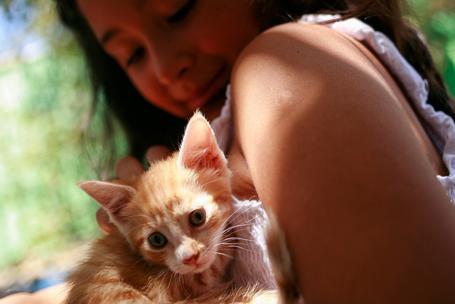 Importancia De Las Mascotas