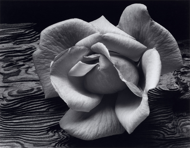 Ansel Adams