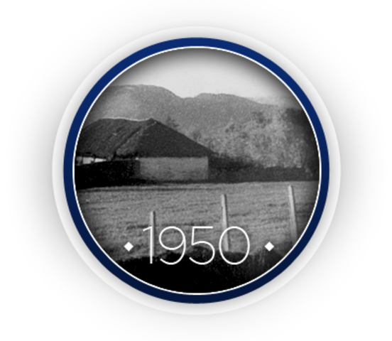 PRIMERA PLANTA INDUSTRIAL