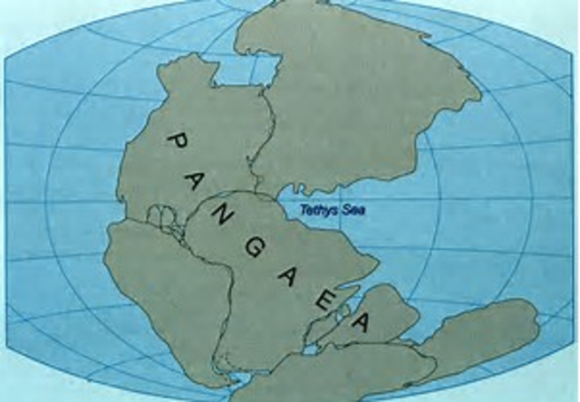 Formación de Pangea