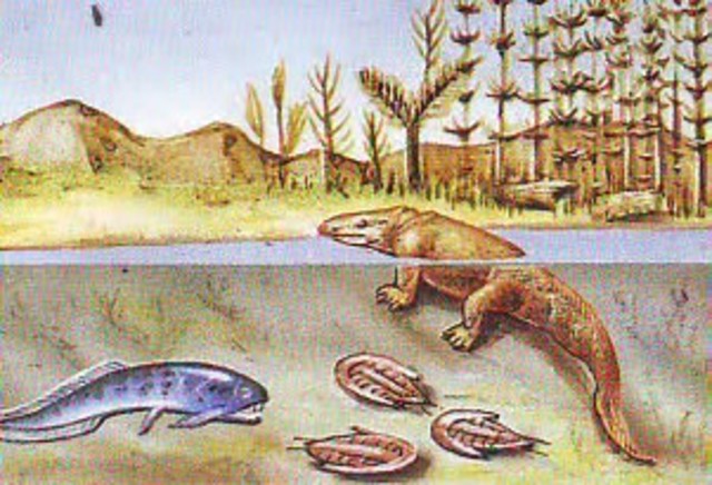 Primeros vertebrados