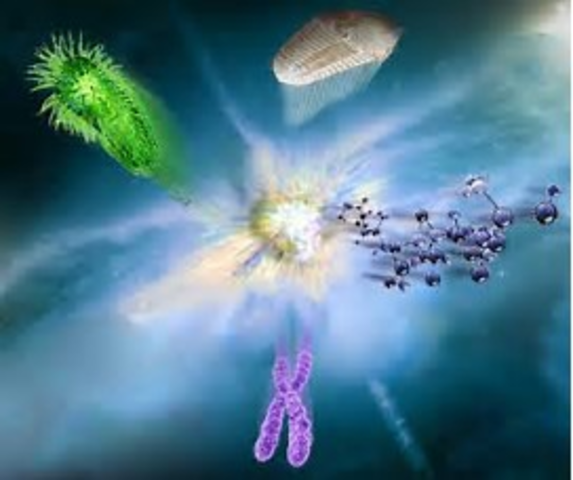 Explosión de la vida