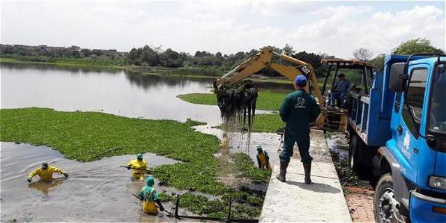 Invertirán $ 30.000 millones para recuperar los humedales de Bogotá