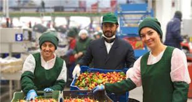 CONVENIO N° 161 DE LA ORGANIZACIÓN INTERNACIONAL DEL TRABAJO (OIT)RELATIVO A LOS SERVICIOS DE SALUD EN EL TRABAJO