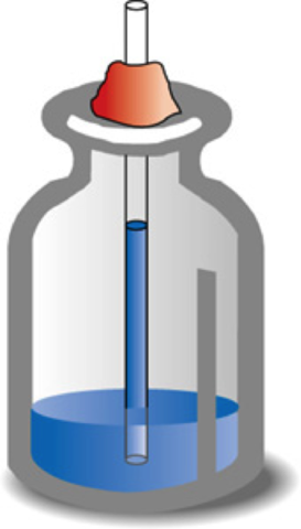 Galileo Galilei inventa el TERMÓMETRO DE AGUA