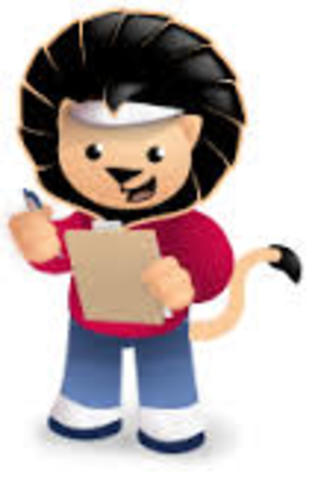 ORGANIZADOR GRÁFICO