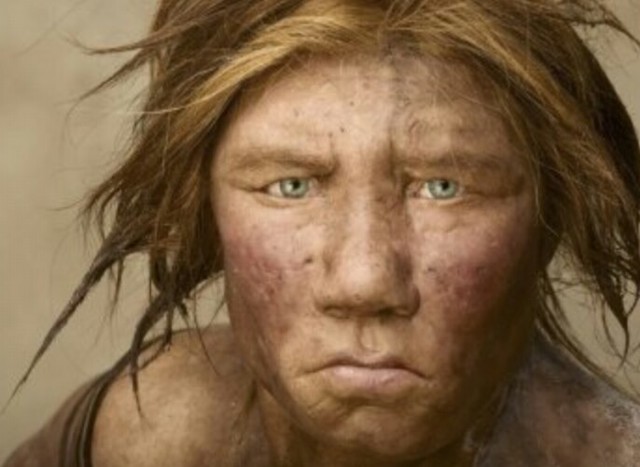 Neandertal
