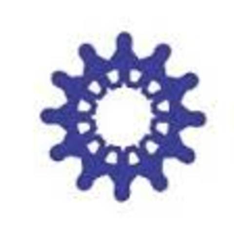 Consejo Nacional de Trabajo Social