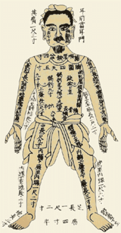 Elaboración del manual de medicina chino Nei Jing.