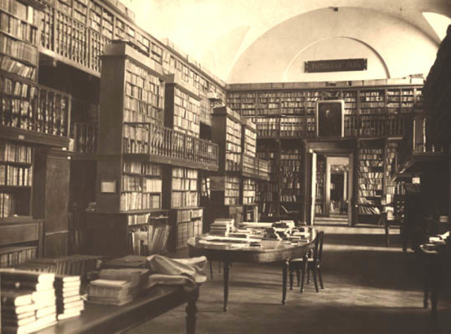 Восстание в Новогородской губернии