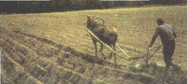 Ряд законов