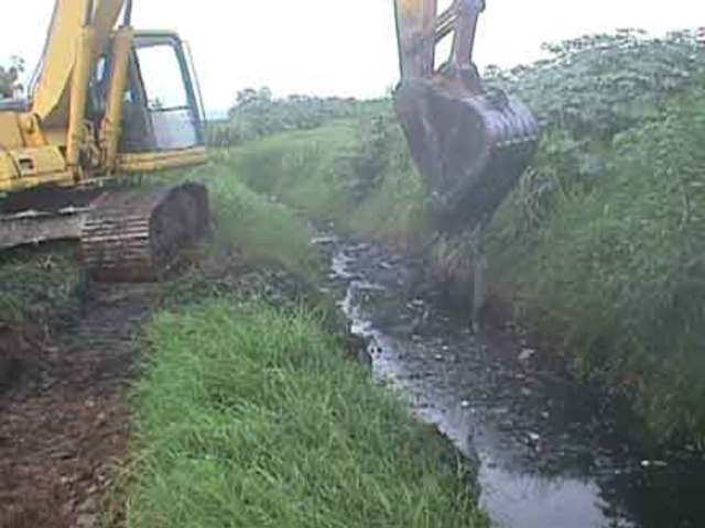 Helene Berger, Áustria