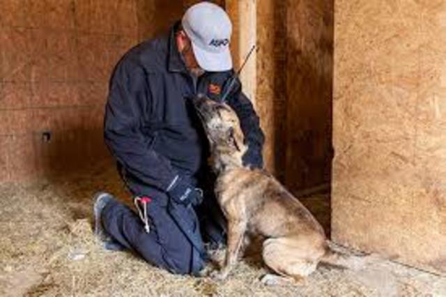 First Veterinary Facility Opened