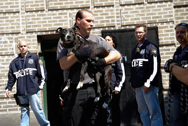 ASPCA Partnership With Police