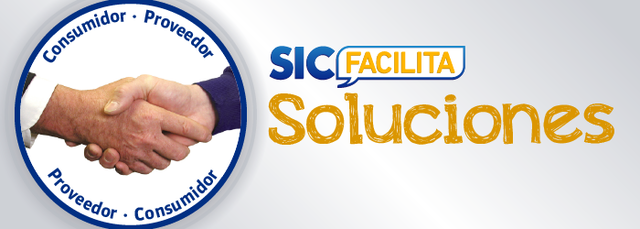 COMITE PERMANENTE DE INTERPRETACIONES