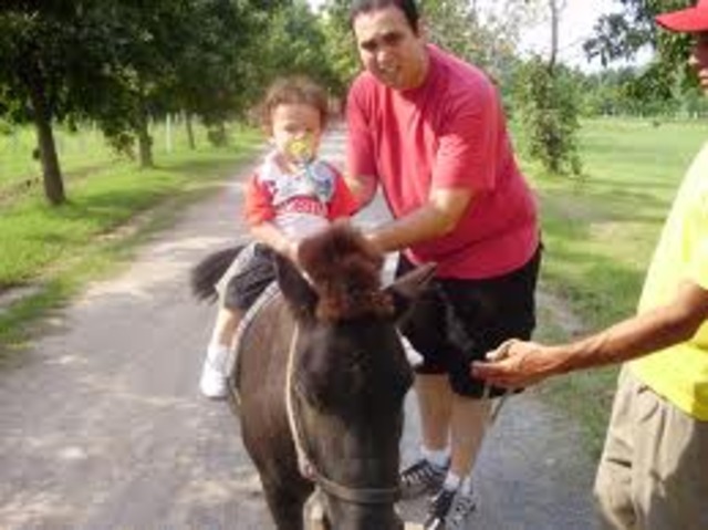 WHEN I WAS 7 YEAR, I USED TO LEARNT TO MOUNT HORSE, I COLUDN'T DRIVE A CAR AND I USED TO TRYING TO LEARN TO HORSE