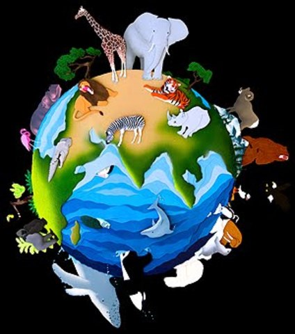 FORMACIÓN DE LA TIERRA