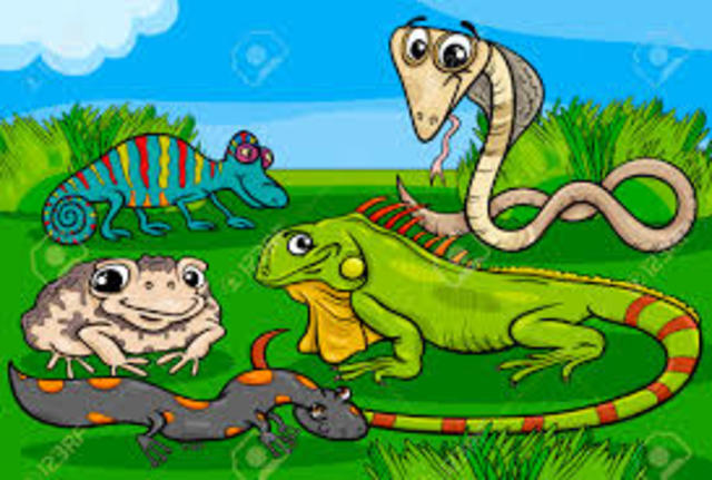 REPTILES
