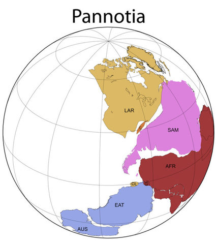 Formación de Pannotia y explosión de la vida