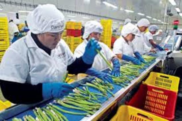 Enterprise Resources Planning