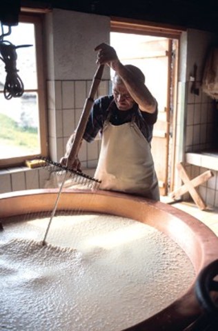 PRODUCCION DE CUAJADA - CUBA QUESERA ARTESANAL "1947"