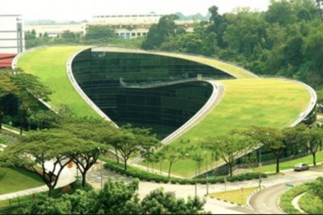 Arquitectura Orgánica