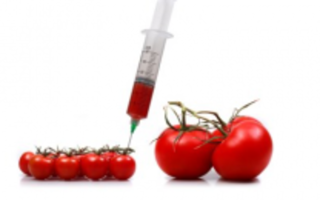 Ley de Bioseguridad de Organismos Genéticamente Modificados