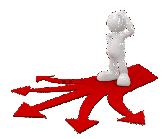 Principios rectores de la ley