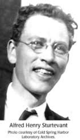 Alfred Sturtevant