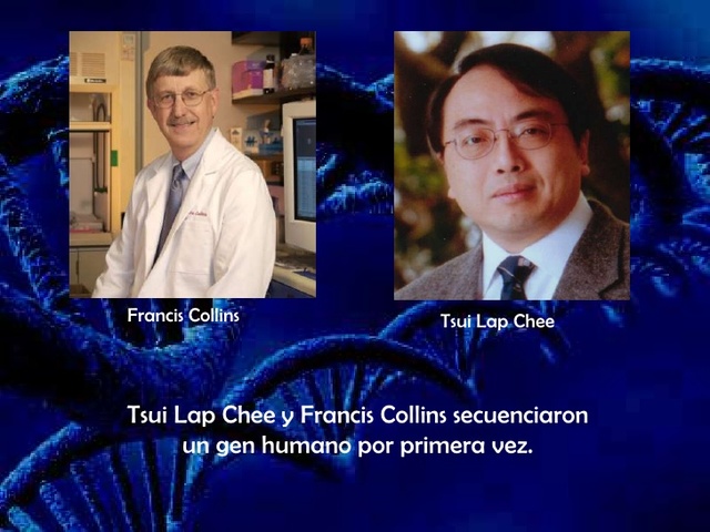 Francis Collins y Lap-Chee Tsui secuencian un gen humano por primera vez. El gen codifica la proteína CFTR, cuyo defecto causa fibrosis quística