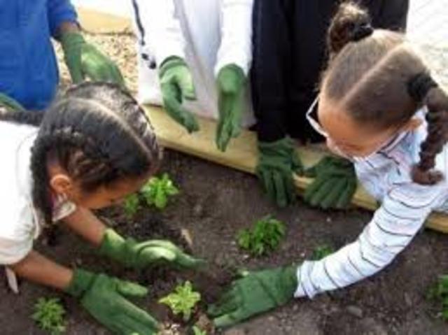 Aprendizaje Significativo