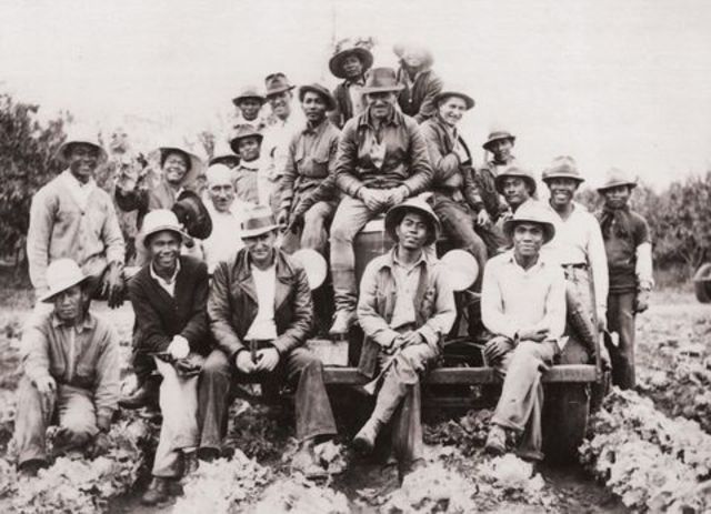 Agricultural Workers Organizing Committee