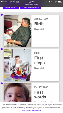 Timeline Presentation