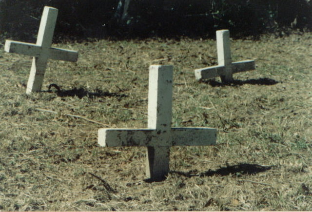 100 innocent Warsaw citizen execution      Pg 44