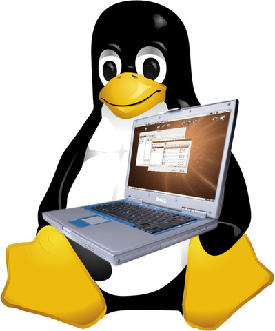 Logotipo de Linux y versión 2.0.