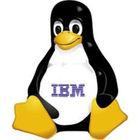 IBM con Linux.
