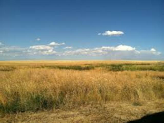 texas geography/the great plains