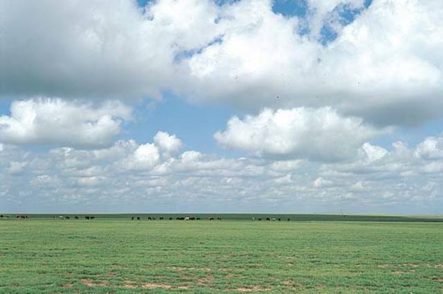 great plains