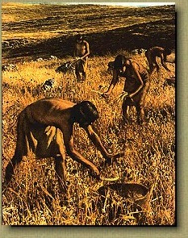 You discover agriculture and livestock