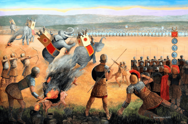 Surgen los Derechos de los Ciudadanos.