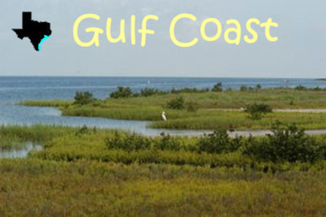 The Gulf Coustal Plains