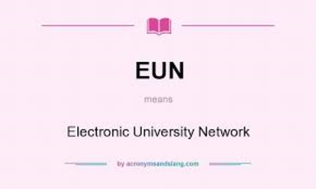 Electronic University Network (EUN)