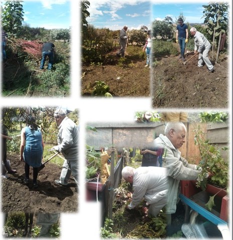 Inicio espacio agricultura