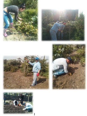 Enseñanza de cultivo