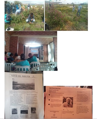 Limpieza del terreno completo