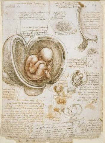 Leonardo da Vinci's birth