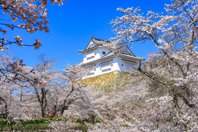 Tsuyama Castle