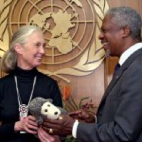 Jane is named a UN Messenger of Peace