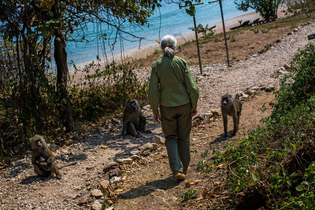 Jane becomes and activist