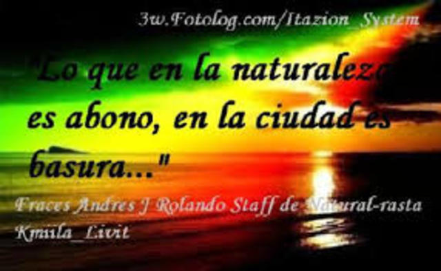 primera vez que escuche reggae